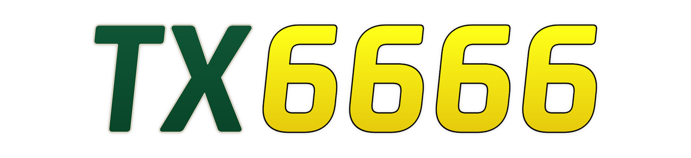 tx6666 logo